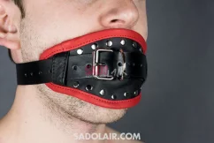 Leather gag with inner dildo style