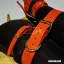 Leather Bondage Belt 25mm Red ( 50 - 120cm )